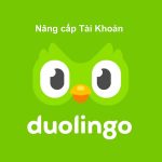 Nâng cấp tài khoản Duolingo Super