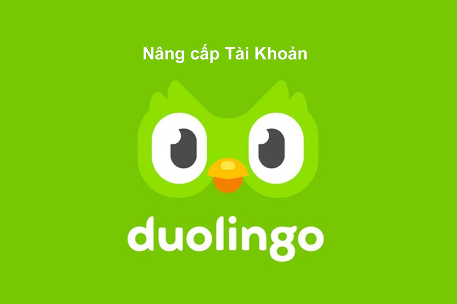 Nâng cấp tài khoản Duolingo Super