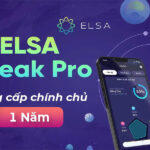Nâng cấp Elsa Speak chính chủ giá rẻ